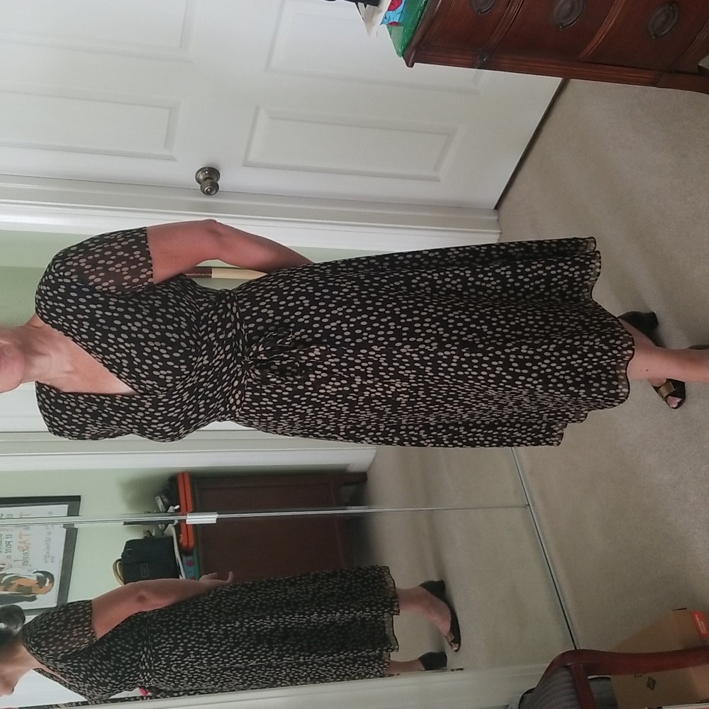 Talbots Silk Polka Dot Dress